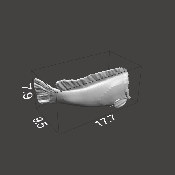 476-image-4 476-image-4