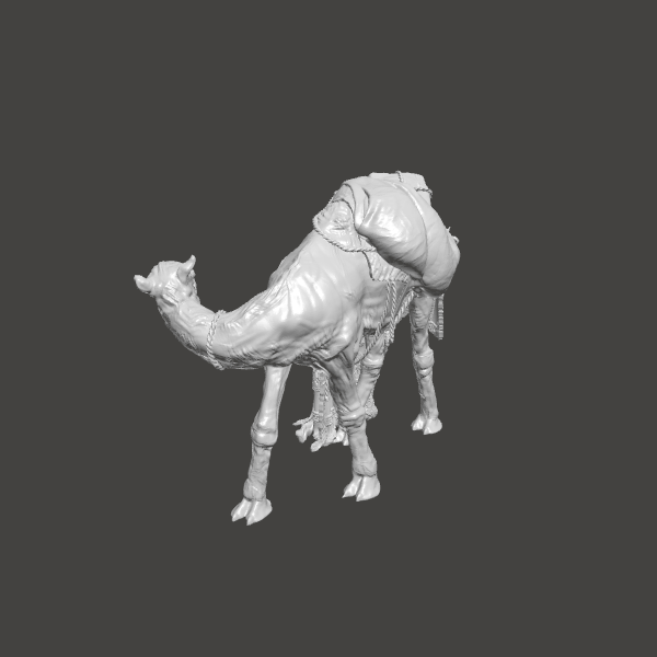 Camel losing load - 2 Camel losing load - 2