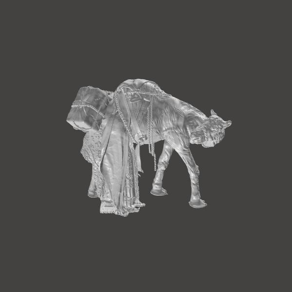 Camel losing load - 5 Camel losing load - 5