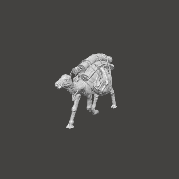 Camel walking with carpets - 2 Camel walking with carpets - 2