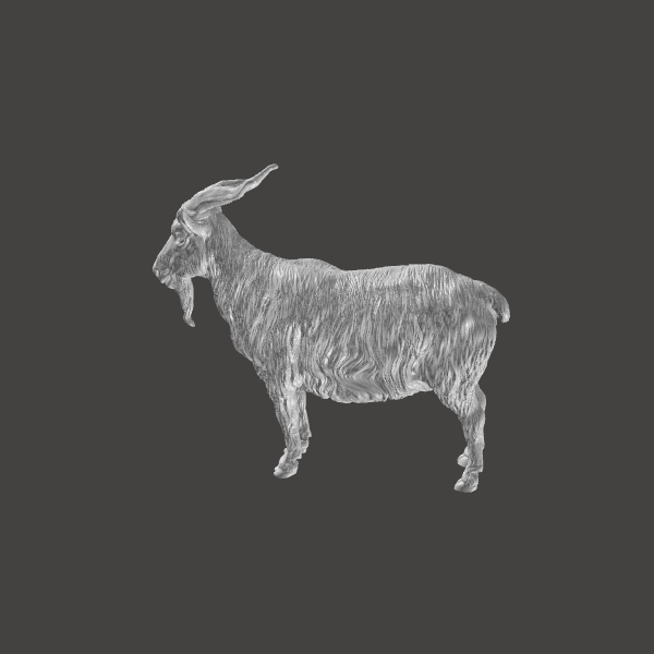 Goat - 4 Goat - 4